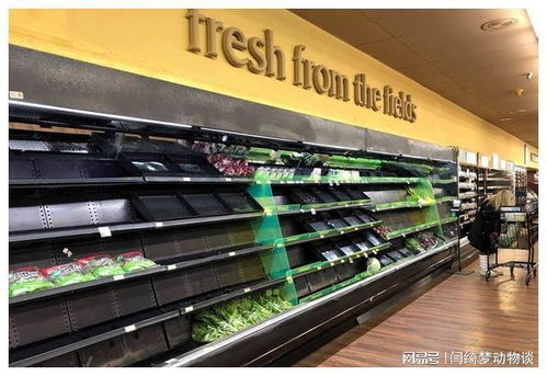 英倫抗疫奇觀 中國制造醫(yī)療物資“秒光”背后的供應(yīng)鏈啟示